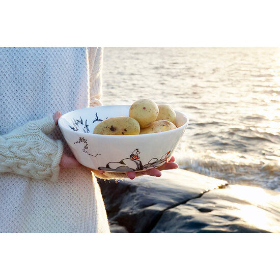 Moomin arabia moomin bowl true to its origin 23cm