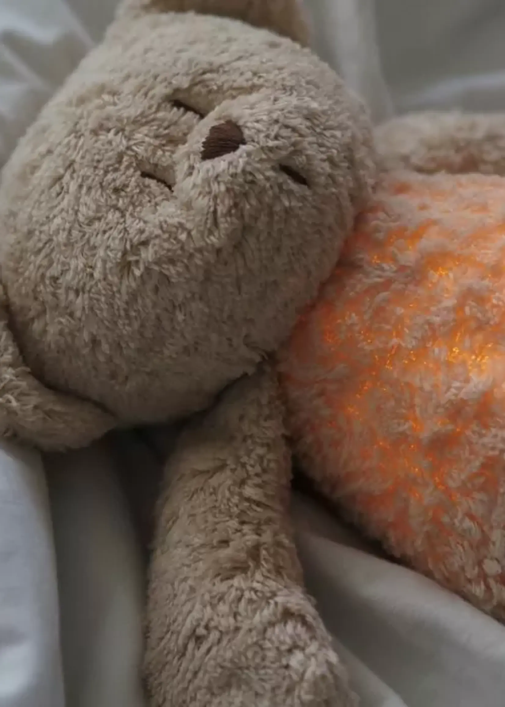 Moonie Moonie bear Sand 2.0