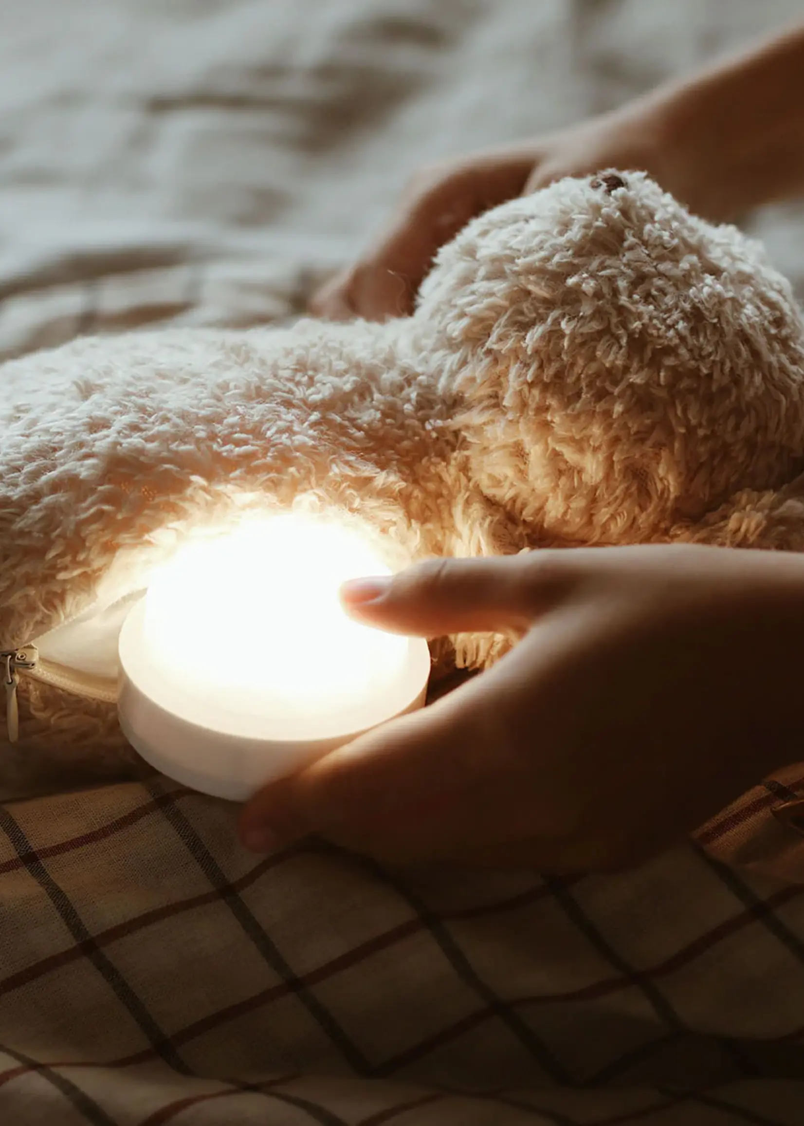 Moonie Moonie bear  Cappucino 2.0