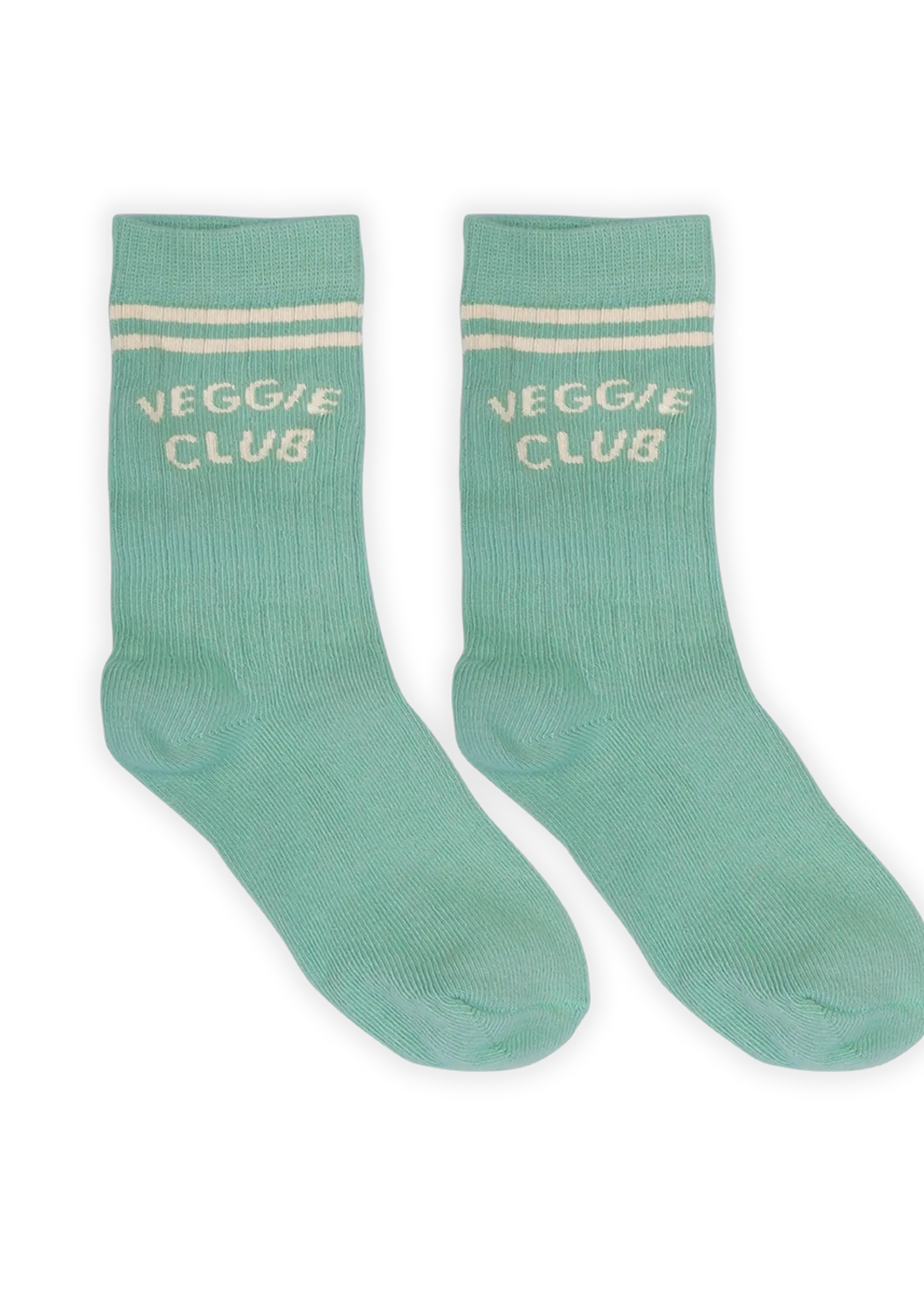 Sproet en Sprout Sport socks stripe Botanical green - Sproet en Sprout