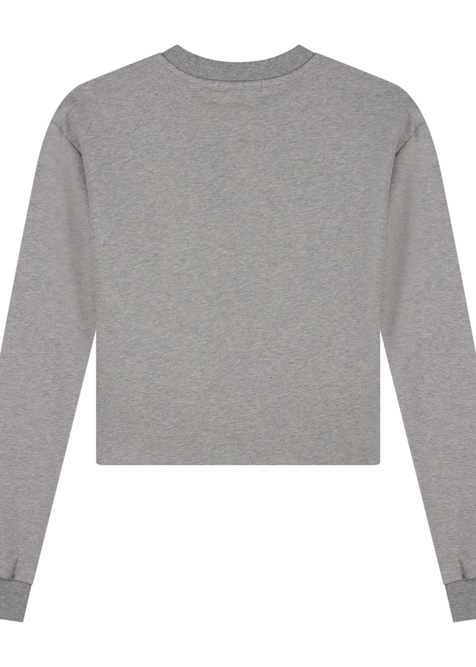 Charlie Petite Owen longsleeve Grey melange - Charlie Petite