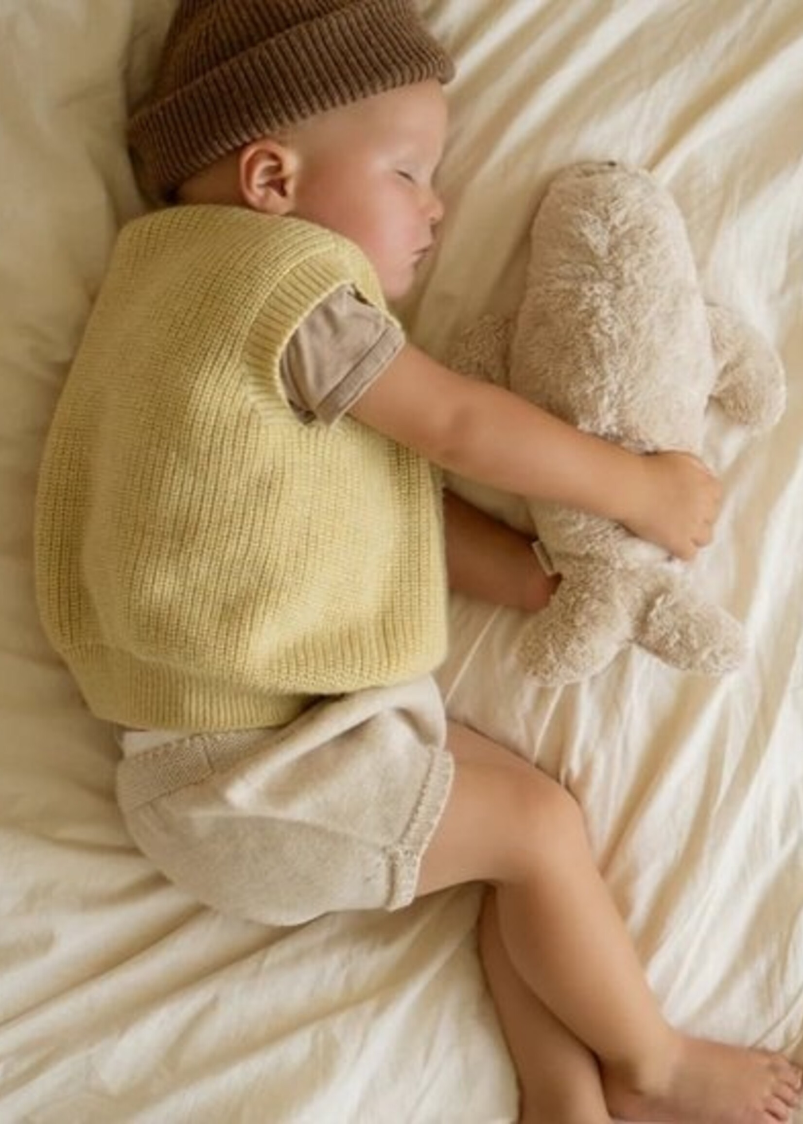 Moonie Moonie seal polar  2.0