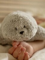 Moonie Moonie seal gray 2.0