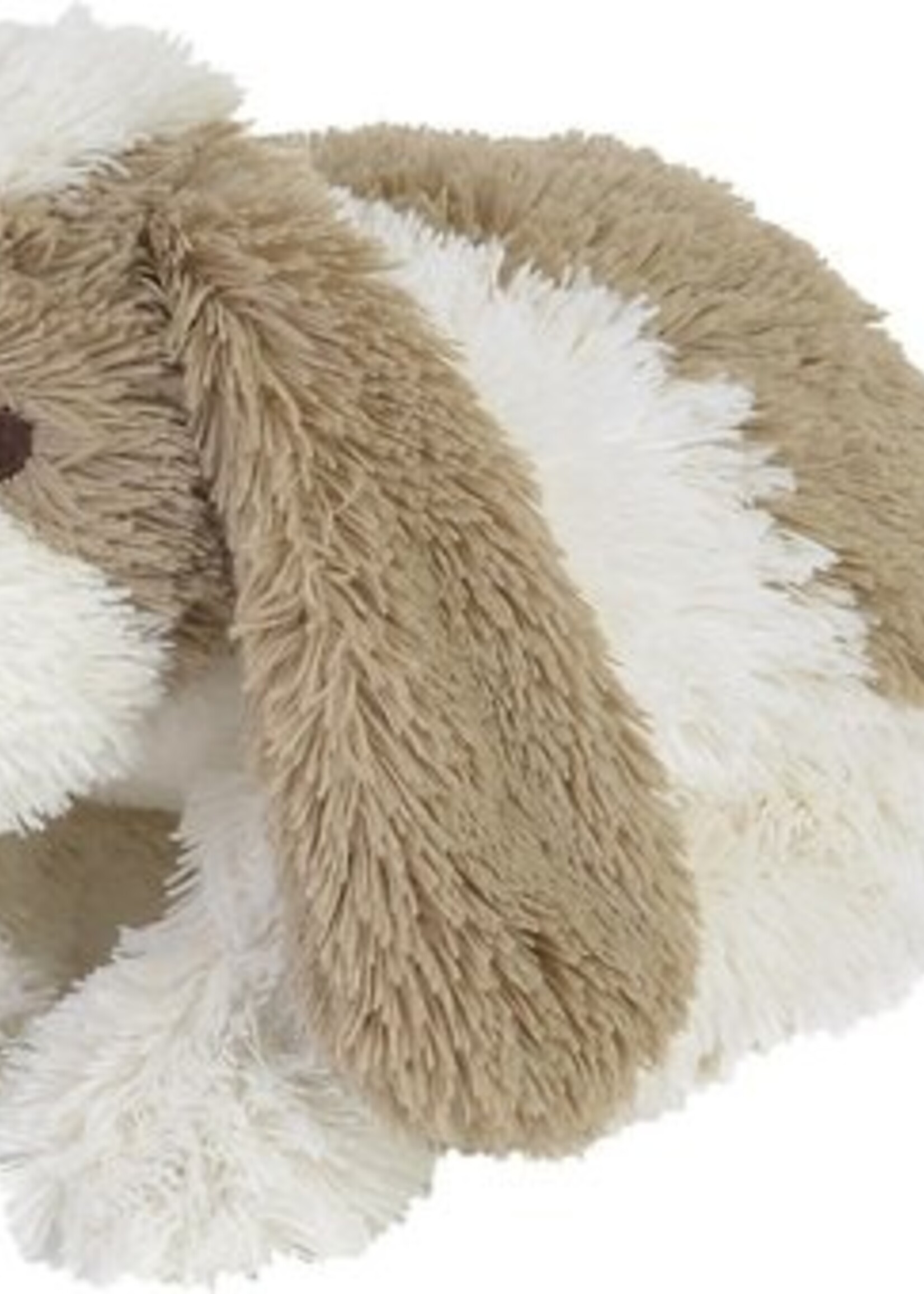 Happy horse Dog David - Happy horse