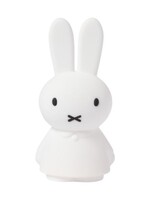 Mr Maria Nijntje schijnt 22 cm