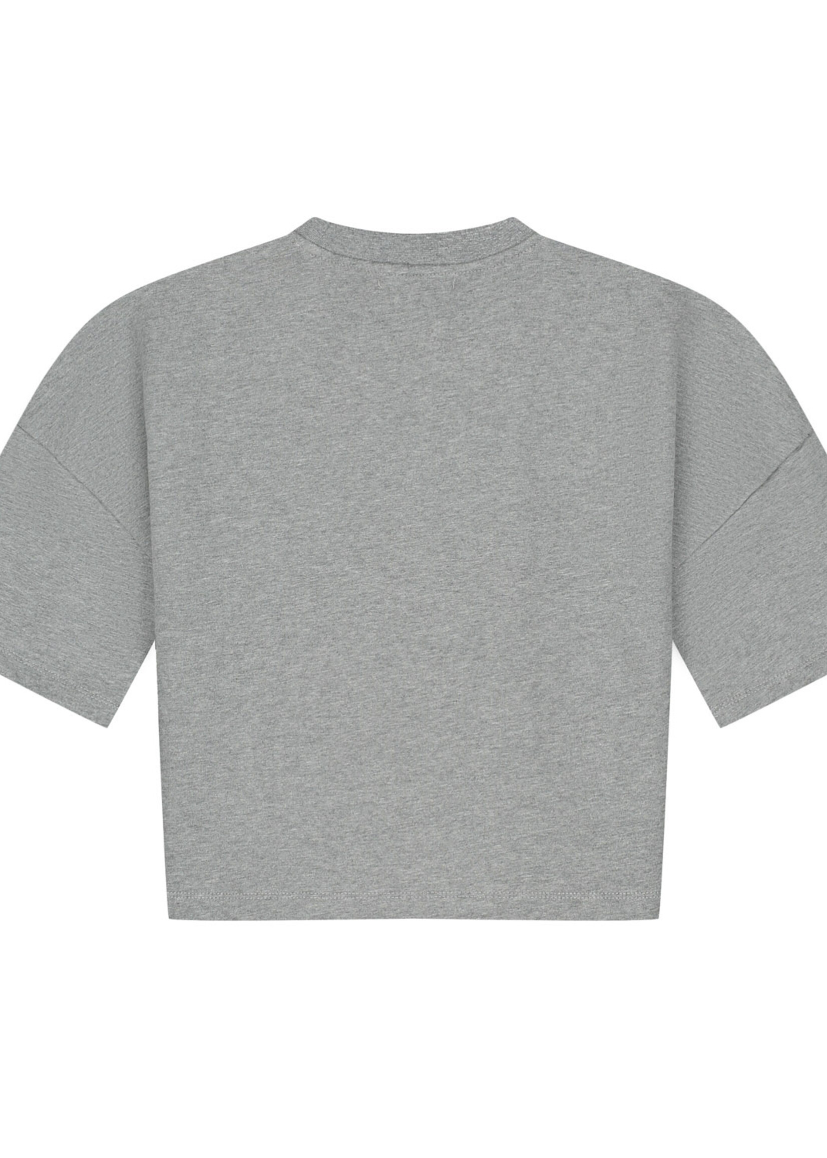 Charlie Petite Esmee Tshirt | Grey melange - Charlie Petite