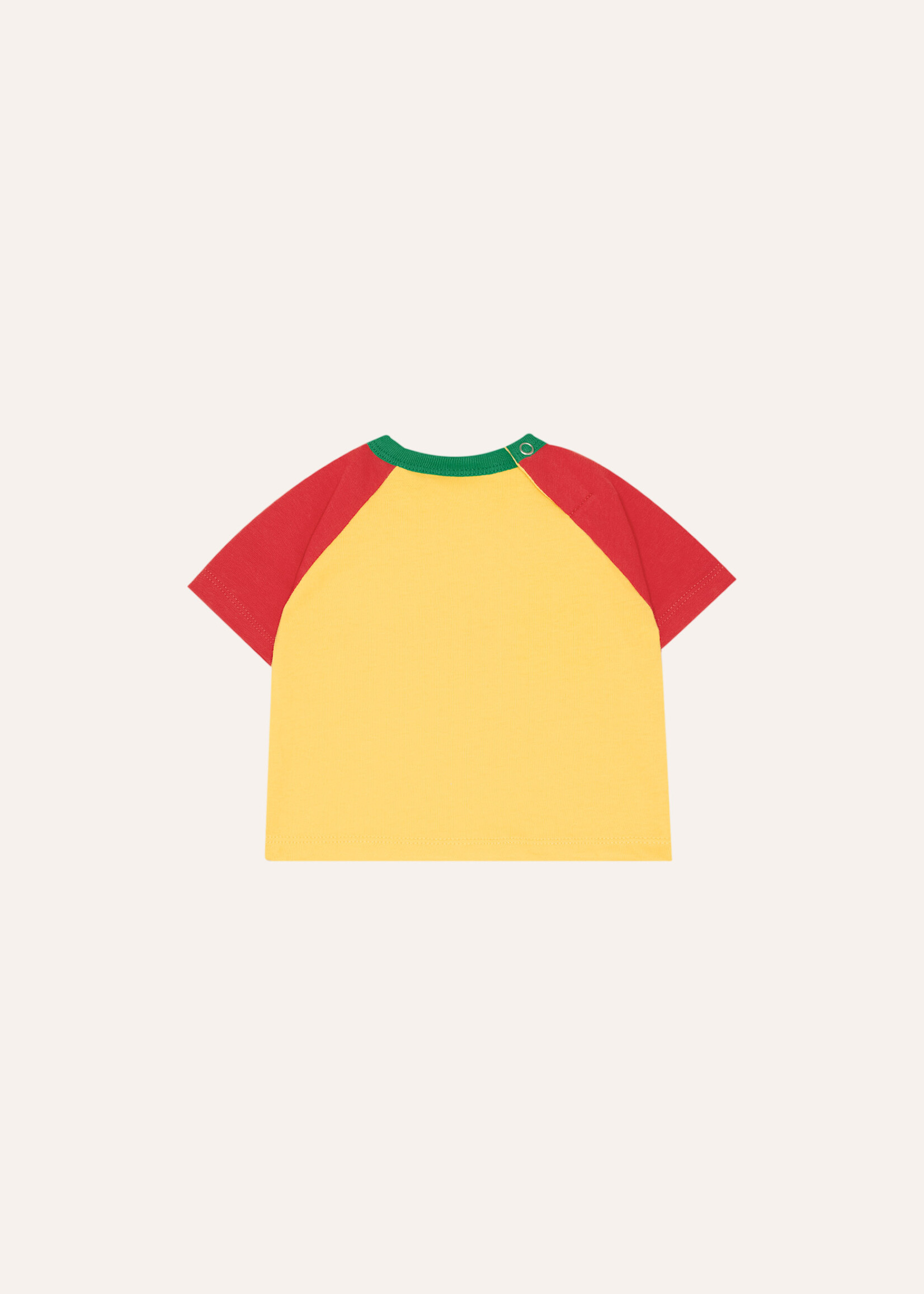 The campamento Reading Lion baby tshirt - The Campamento