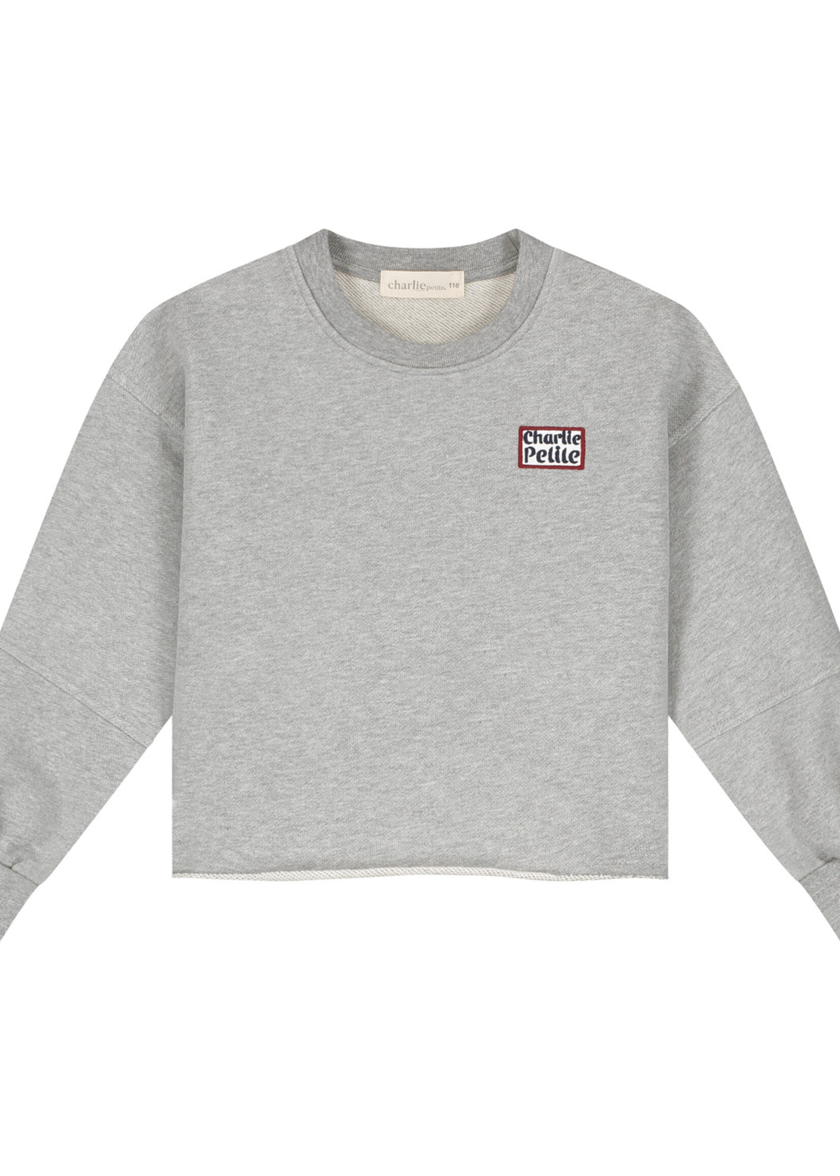 Charlie Petite Riva sweater  grey melange - Charlie petite