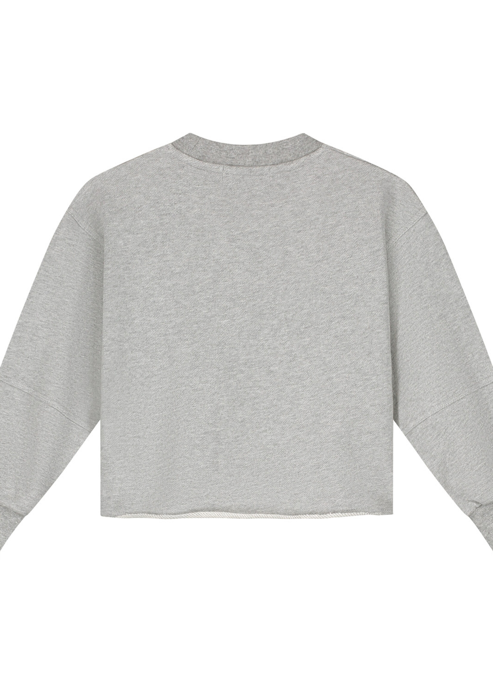 Charlie Petite Riva sweater  grey melange - Charlie petite