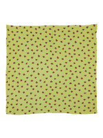 Piupiuchick Bandana Pistachio - Piupiuchick