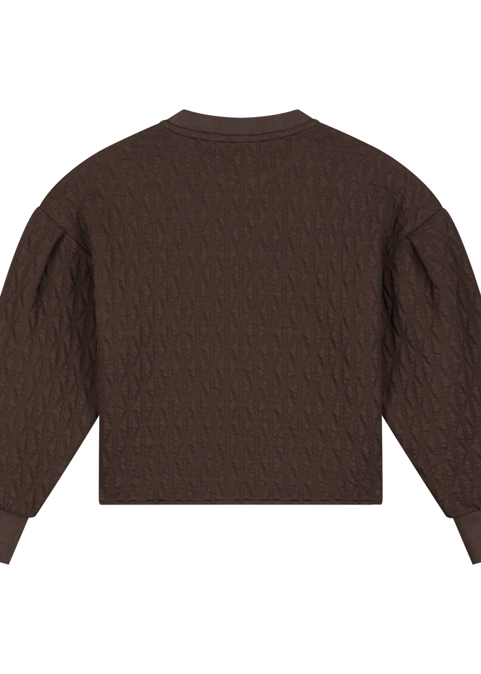 Charlie Petite Sien sweater Dark brown - Charlie petite