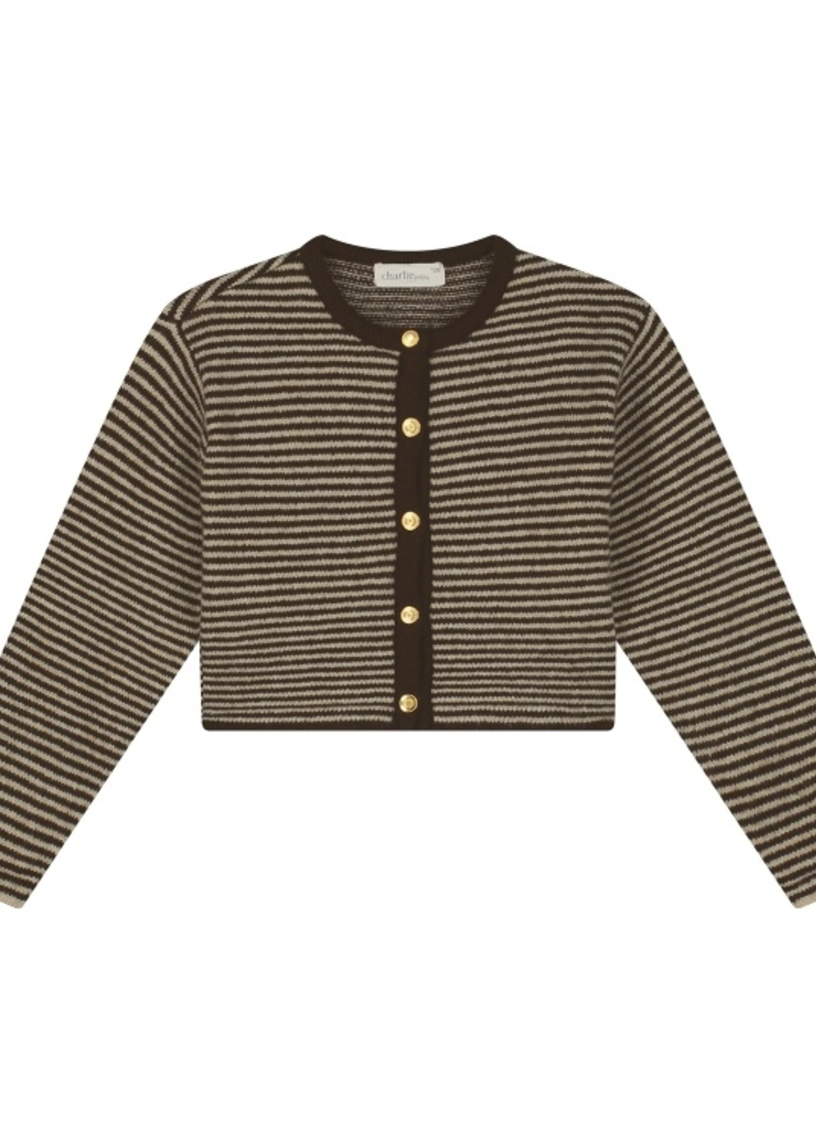 Charlie Petite Jade cardigan Stripes brown/ecru - Charlie petite