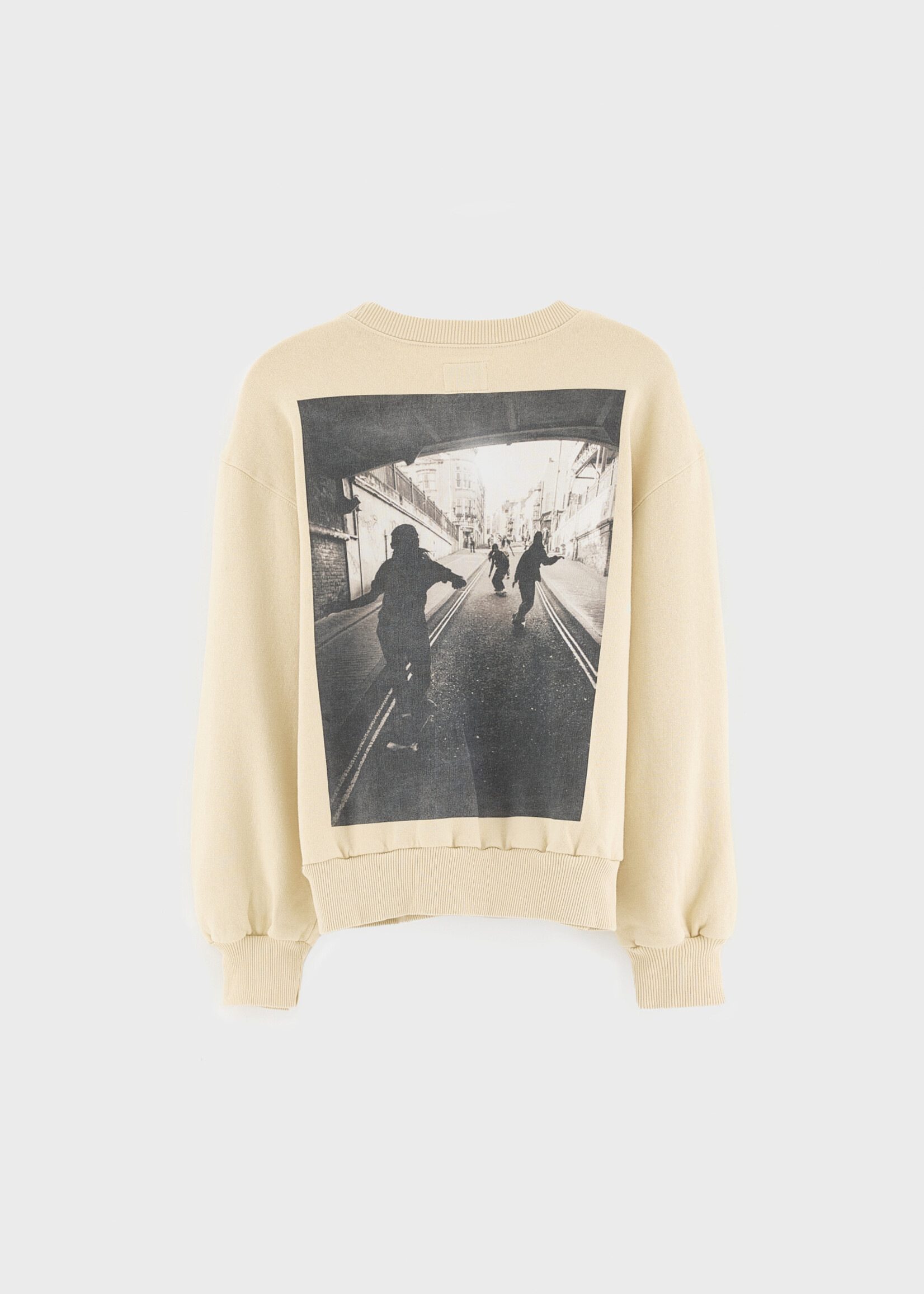 Bellerose Cham sugarcane - Bellerose