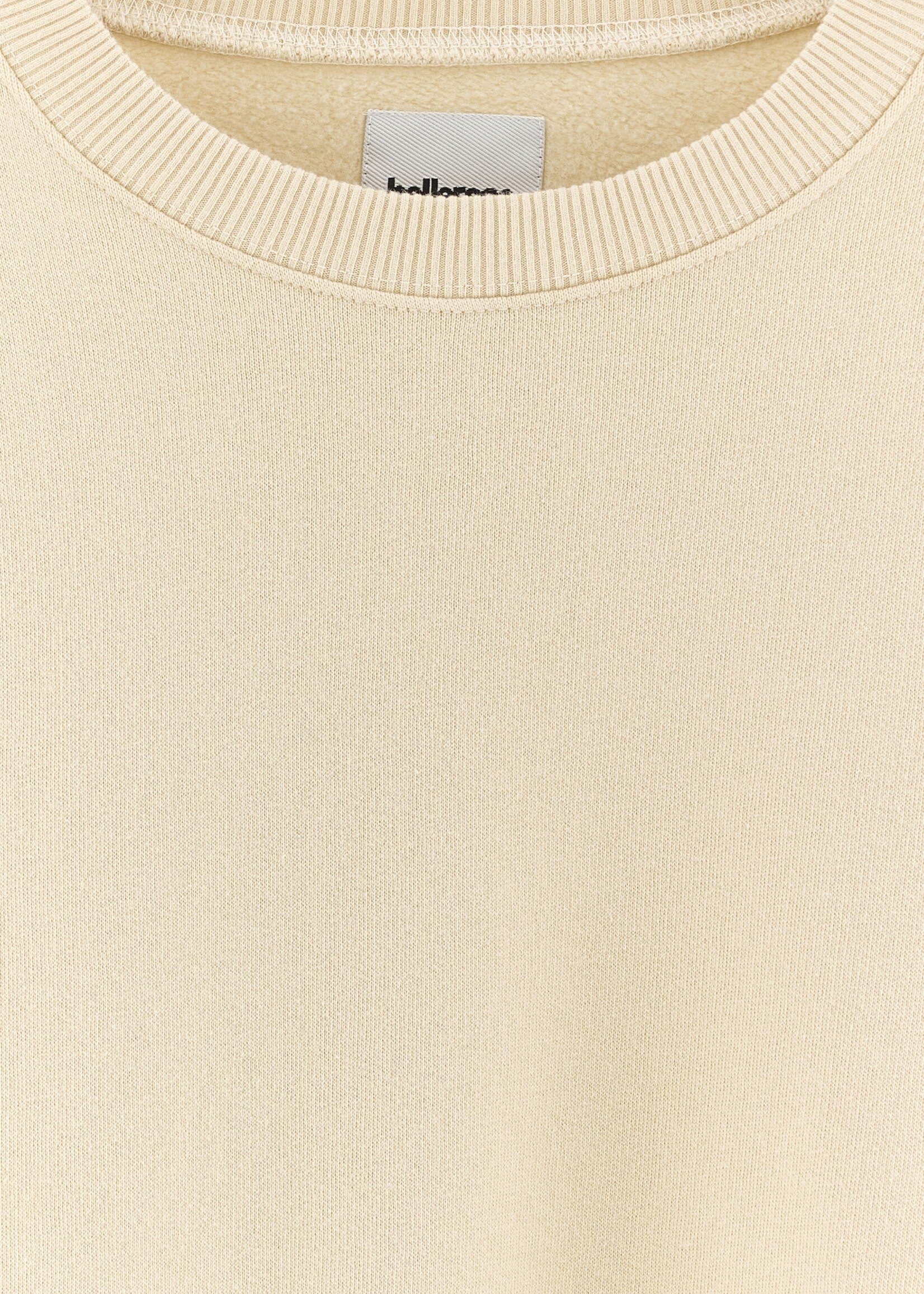 Bellerose Cham sugarcane - Bellerose