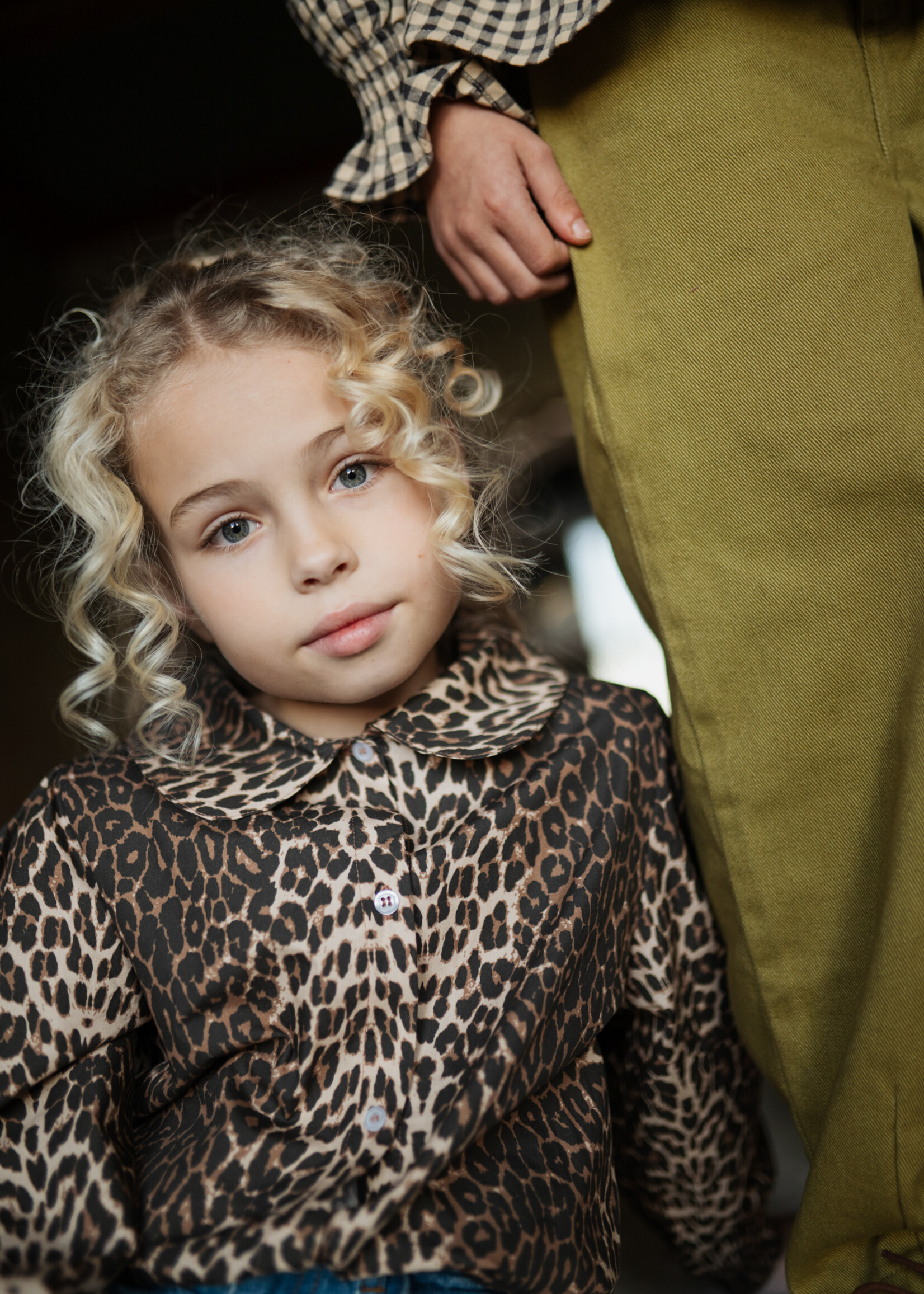 Petit Blush Collar blouse | Leopard - Petit Blush