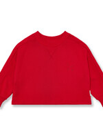 Petit Blush Coco sweater | Salsa - Petit Blush