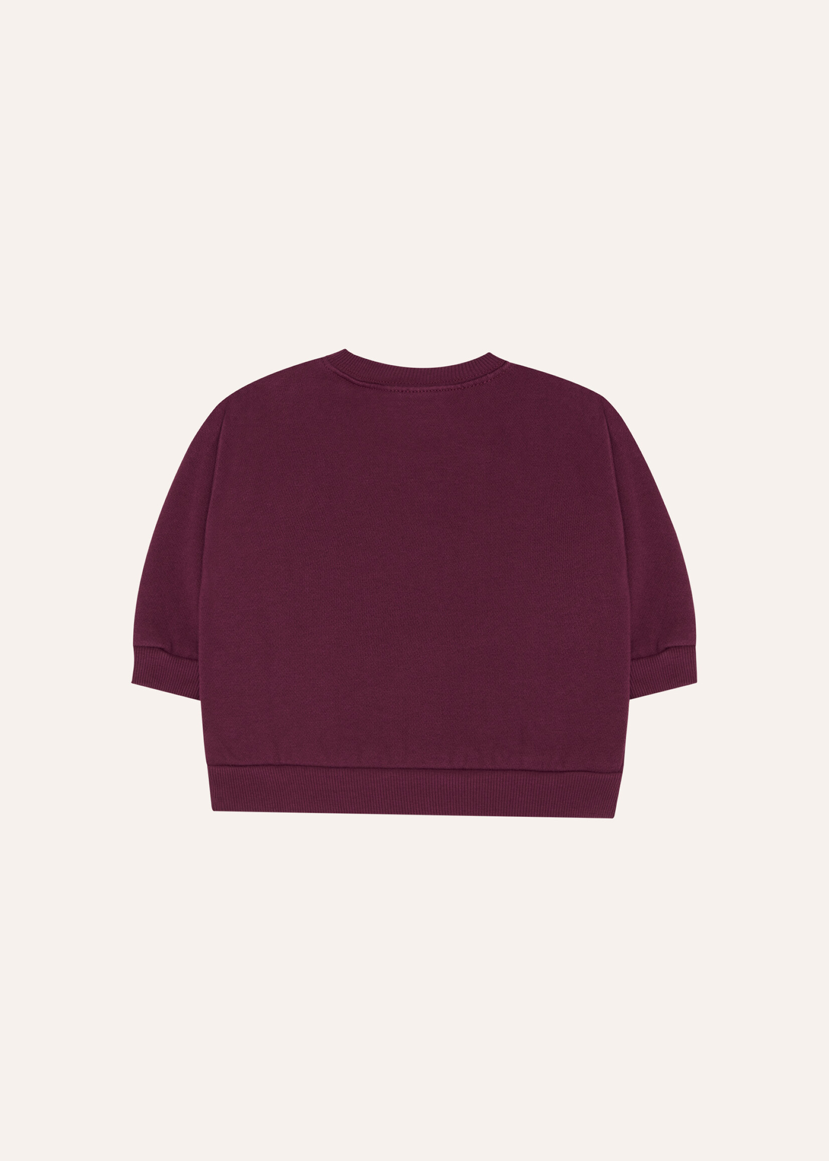 The campamento Big blue daisy baby sweatshirt - The Campamento