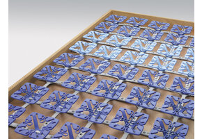 Froli Star Bedsysteem Basis 70x200cm