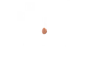 Hoekverbinder rond afdekkap licht bruin à 4 stuks