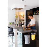 Flextrash Wallmount Flextrash Wallmount