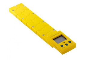 Reich Caravanweger 1000kg Geel