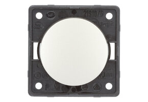 Berker Aan/Uitschakelaar Flow/Pure Inbouw RVS Mat 230V