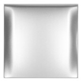 Berker Afdekraam Flow/Pure 1-Vaks met Klep RVS Mat Gelakt Berker Afdekraam Flow/Pure 1-Vaks met Klep RVS Mat Gelakt