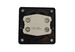 Berker Aan/Uitschakelaar Flow/Pure met Lampje Inbouw Chroom Hoogglans 12V