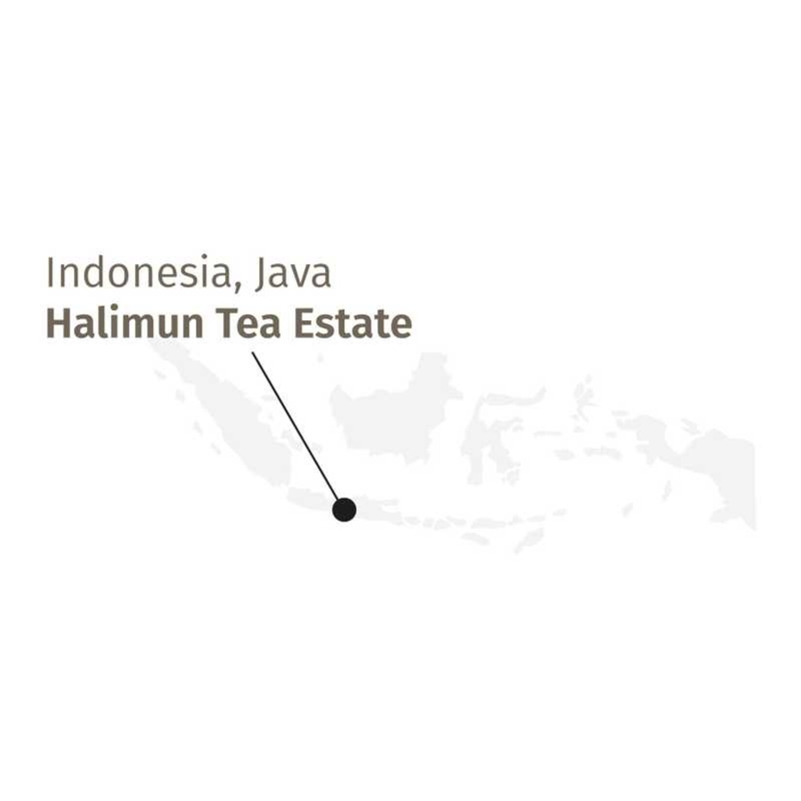 Halimun Jade Oolong BIO