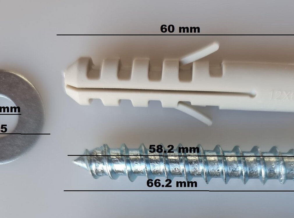 Schroef met plug en ring set 2 stuks