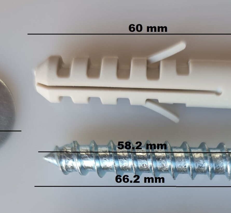 Schroef met plug en ring set 2 stuks