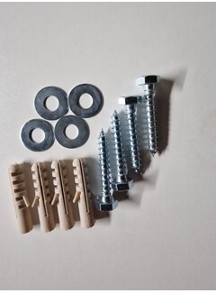 Schroef met plug en ring 2 set a 4 stuks