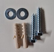 Schroef met plug en ring set 2 stuks