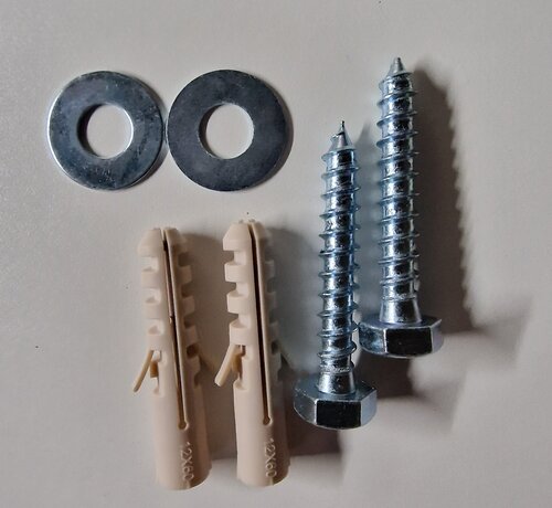 Schroef met plug en ring set 2 stuks