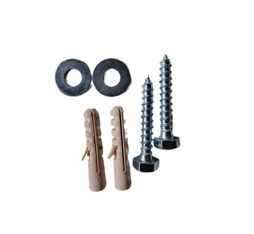 Boiler ophangschroeven set, M10 - bout, plug en ring. set van 2 stuks