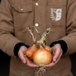 Botmas Biologische Gele Ui - Vers