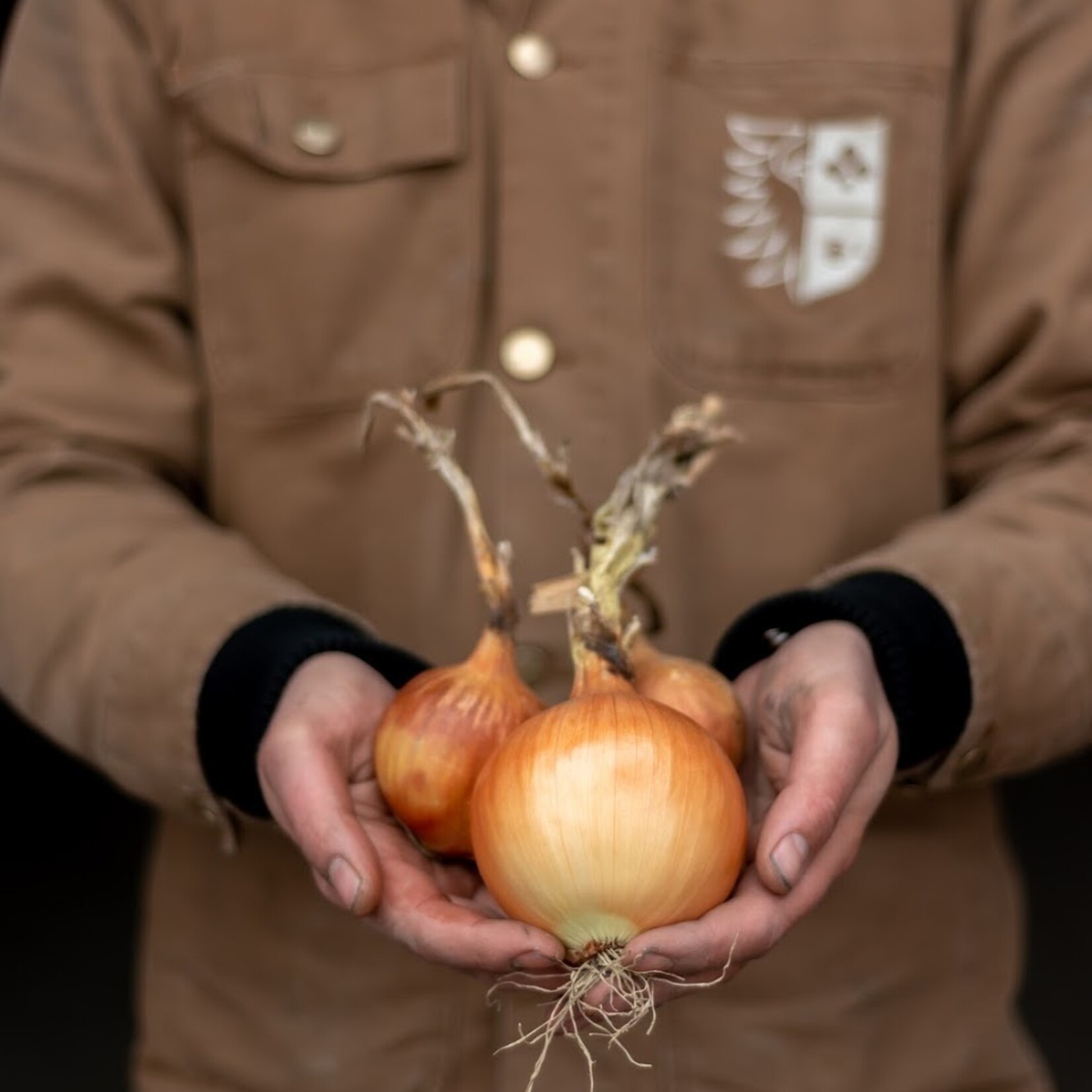 Botmas Botmas Biologische Gele Ui - Vers