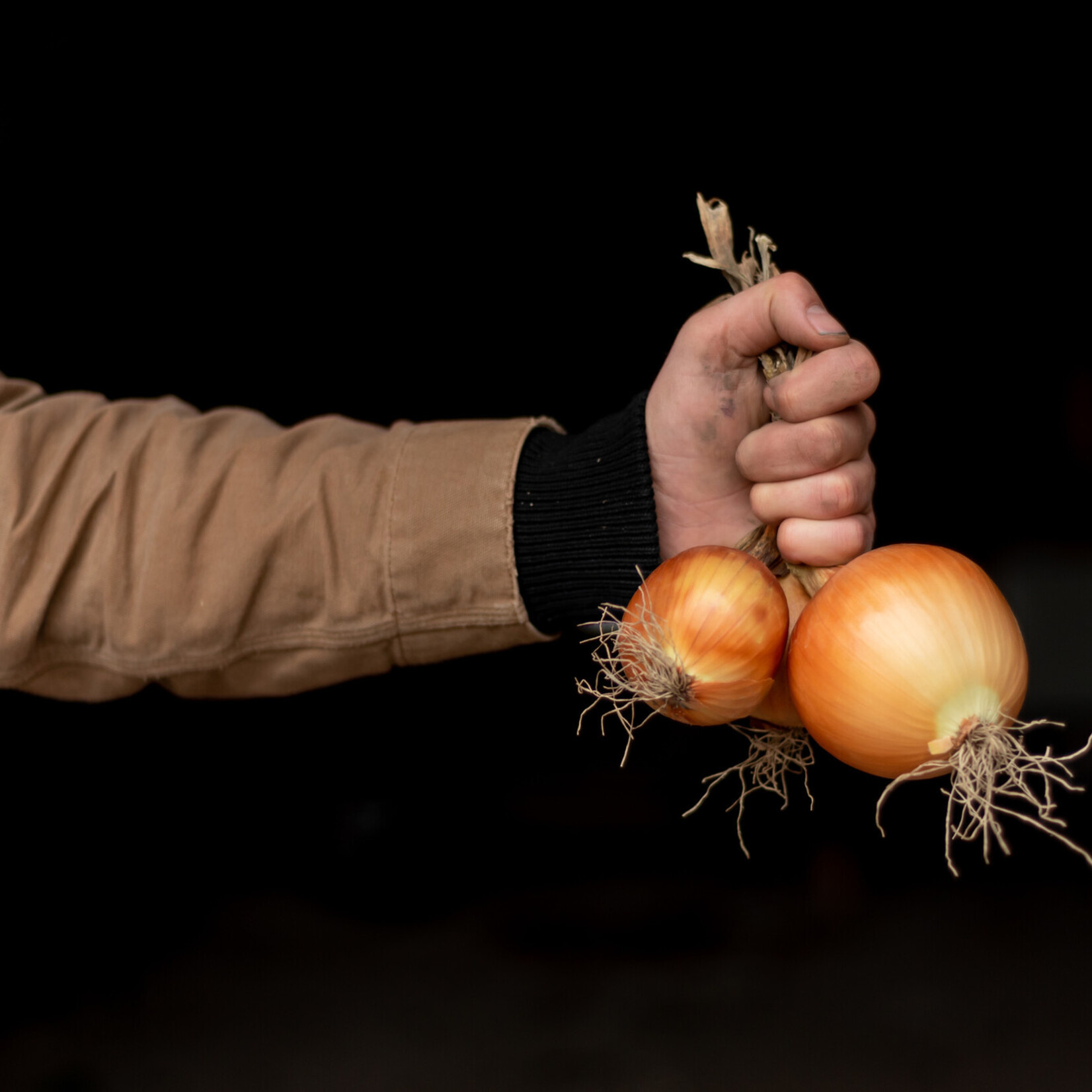Botmas Botmas Biologische Gele Ui - Vers
