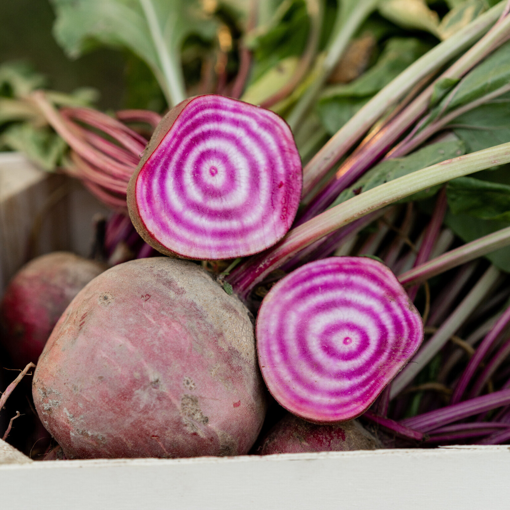 Botmas Botmas Biologische Diverse Bieten - Vers