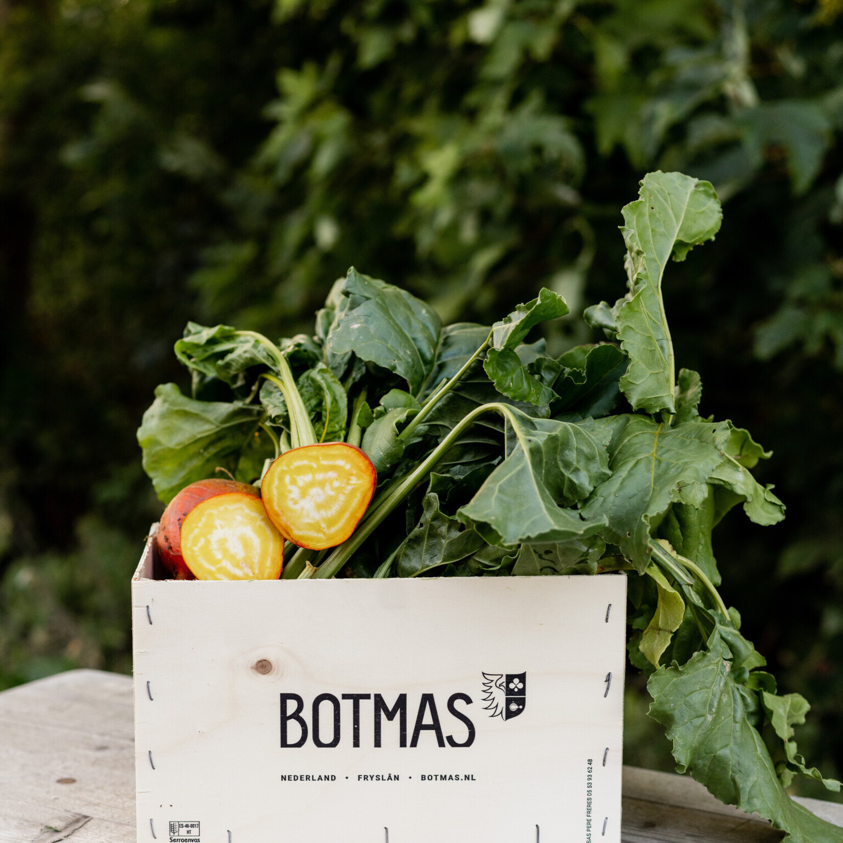 Botmas Botmas Biologische Diverse Bieten - Vers