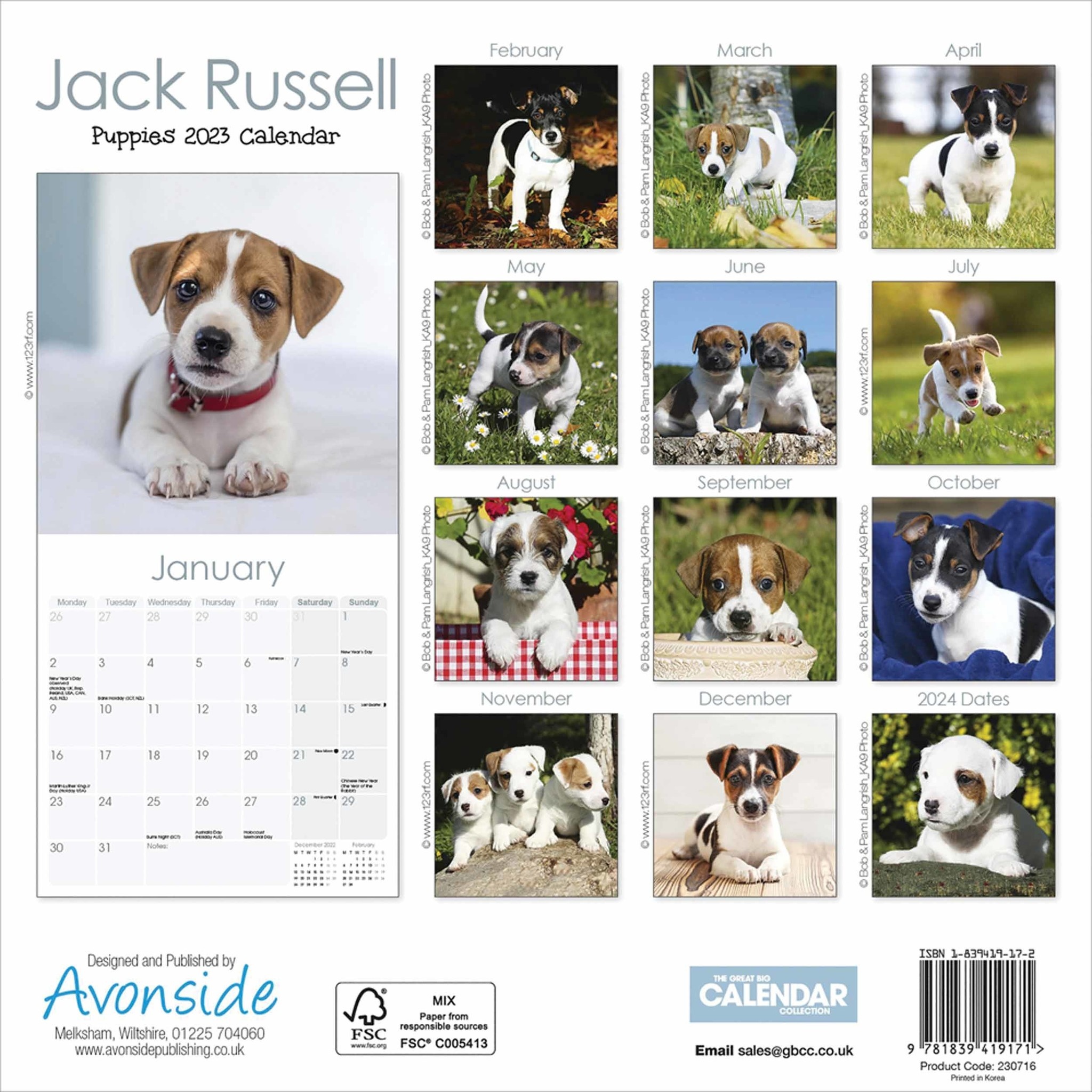 Jack Russell Terrier Mini Calendar 2024 Buy Order easily online