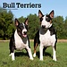 Browntrout Bull Terrier Calendar 2025