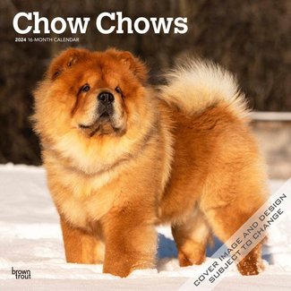 Browntrout Chow Chow Calendar 2024