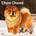 Browntrout Chow Chow Calendar 2025