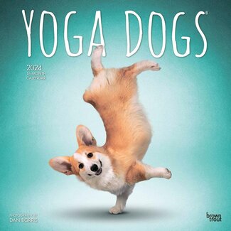 Browntrout Yoga Dogs Kalender 2024