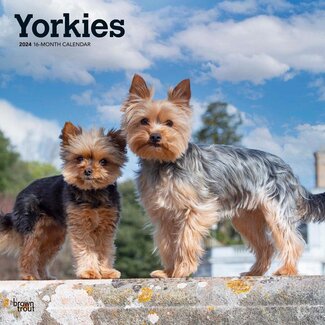 Browntrout Yorkshire Terrier Calendar 2025