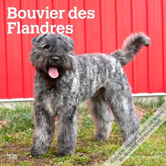 Bouvier Kalender 2024