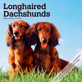 Browntrout Dachshund Longhair Calendar 2025