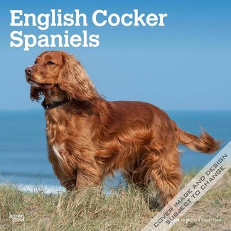 Browntrout Engelse Cocker Spaniel Kalender 2024