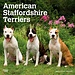 Browntrout American Staffordshire Terrier Calendar 2025